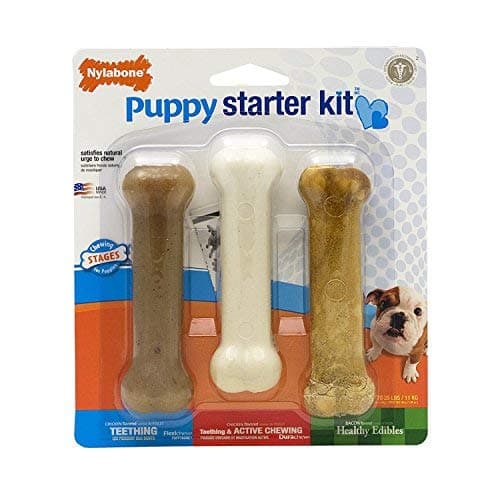 Thumbnail 7 de Nylabone Puppy Starter Kit: kit inicial para cachorros