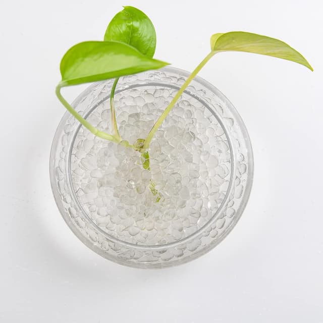 Thumbnail 1 de Hisredsun Glassteine 0,95 kg 6–9 mm 🪨