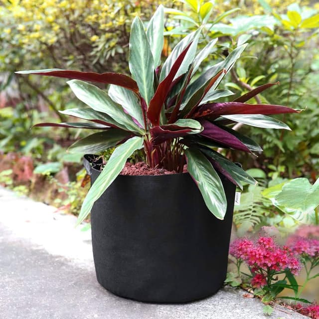 Thumbnail 6 de SHEEFLY 10 Pack 10 Gallon Grow Bags (Non-woven fabric) with Handles + Plant Labels