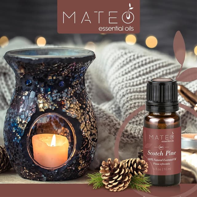 Detalle 2 de MateoEssentialOils Olio essenziale naturale di Pino silvestre (Pinus sylvestris) – 10 ml