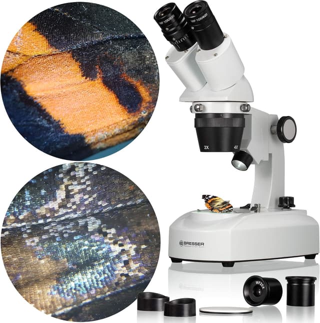 Detalle 2 de Bresser ICD 20x–80x 3D Stereo Mikroskop