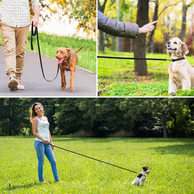 Thumbnail 6 de Longe pour Chien Dressage 3M–30M