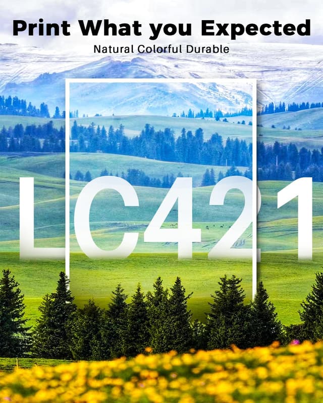 Detalle de Cartucce LC421 compatibili Skydo (LC421 Nero, Ciano, Magenta, Giallo) per Brother DCP-J1050DW e MFC-J1010DW, confezione da 4