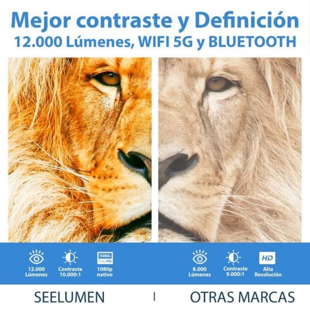 Detalle de seelumen S13 Proyector 12.000 lúmenes 📽