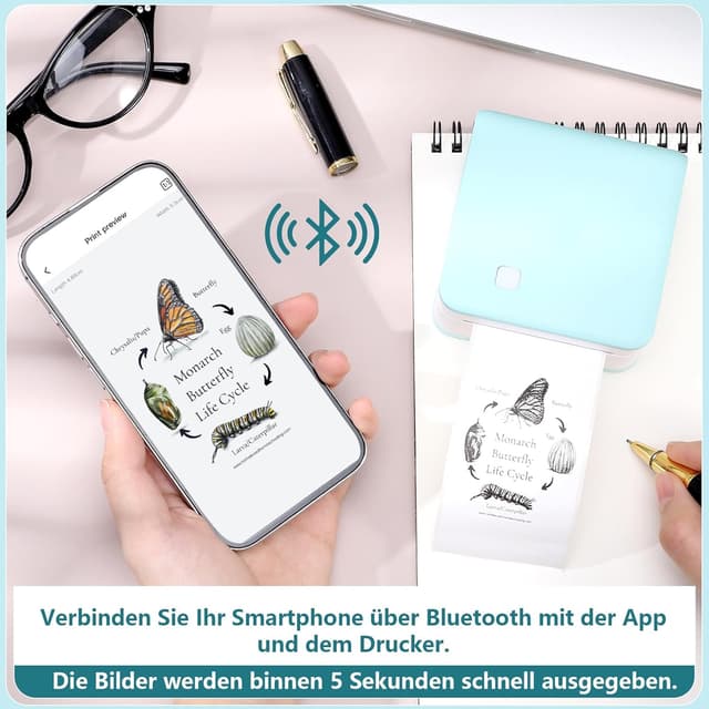 Detalle 2 de XREE Thermorollen 53×28 mm 6er Pack