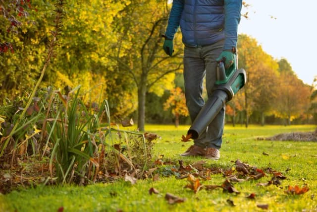 Thumbnail 9 de Bosch Advanced LeafBlower 36V-750 Gewicht 2,8 kg 🎋