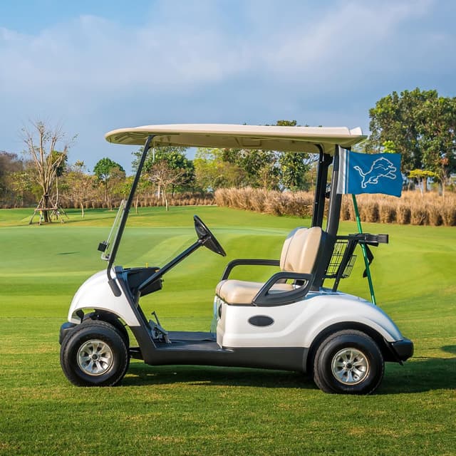 Detalle 2 de Rico Industries NFL Football Utility Flag (Double Sided) - Great for Boat, Golf Cart, or Home