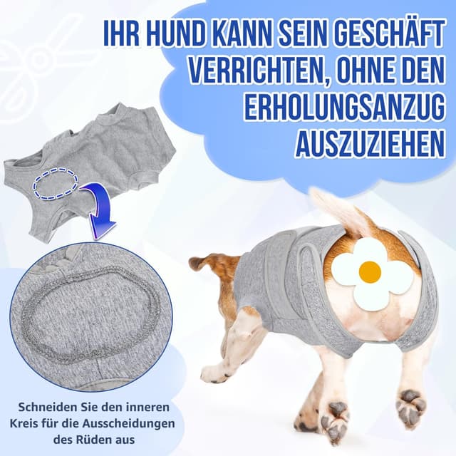 Detalle 2 de Eyein Hundebody nach OP als Wundschutzanzug für Hunde mit Reißverschluss & Klett Gürtel (Grau, M)