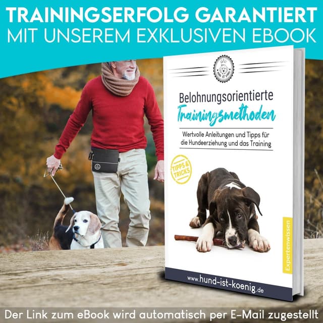 Thumbnail 6 de HUND IST KÖNIG Leckerlietasche