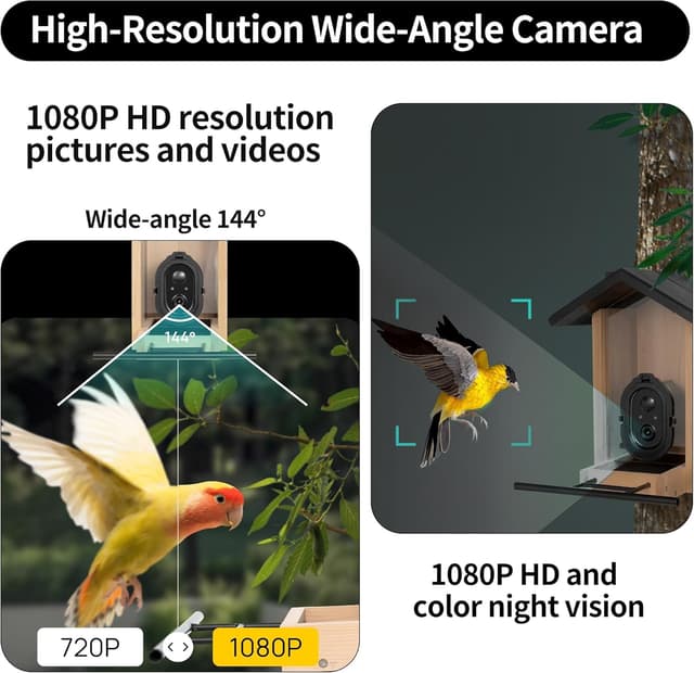 Thumbnail 2 de Origem Mangeoire à Oiseaux avec Caméra 3L