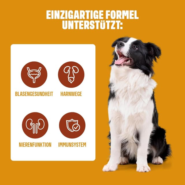 Thumbnail 4 de ivvi Urology 60 Snacks für Hunde