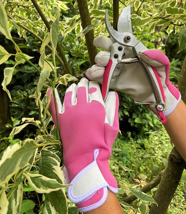 Detalle de Petal Power ladies leather gardening glove (small) & Premier heavy duty secateurs set – pink