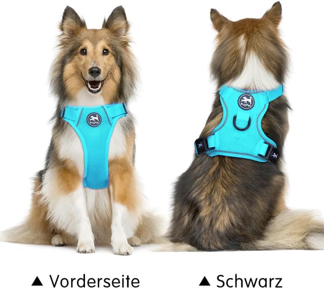 Detalle de PoyPet reflektierendes Mesh-Hundegeschirr mit doppelter Polsterung (blau, Größe L)