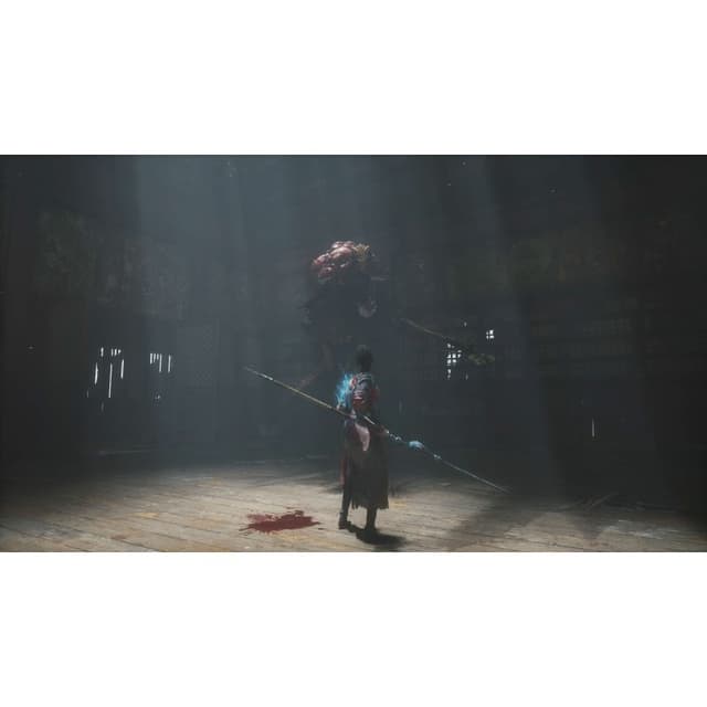 Detalle 2 de WUCHANG: Fallen Feathers Standard Edition para PS5 (505-games)