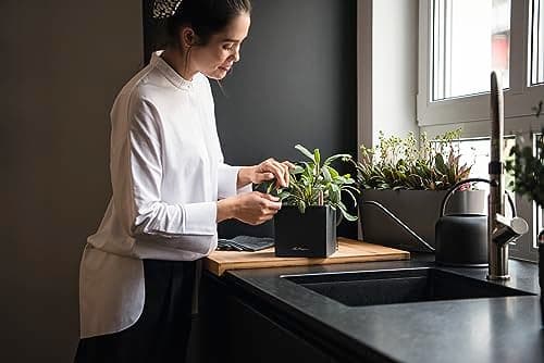 Thumbnail 4 de LECHUZA Canto Stone 14 Grafito Negro 14 cm