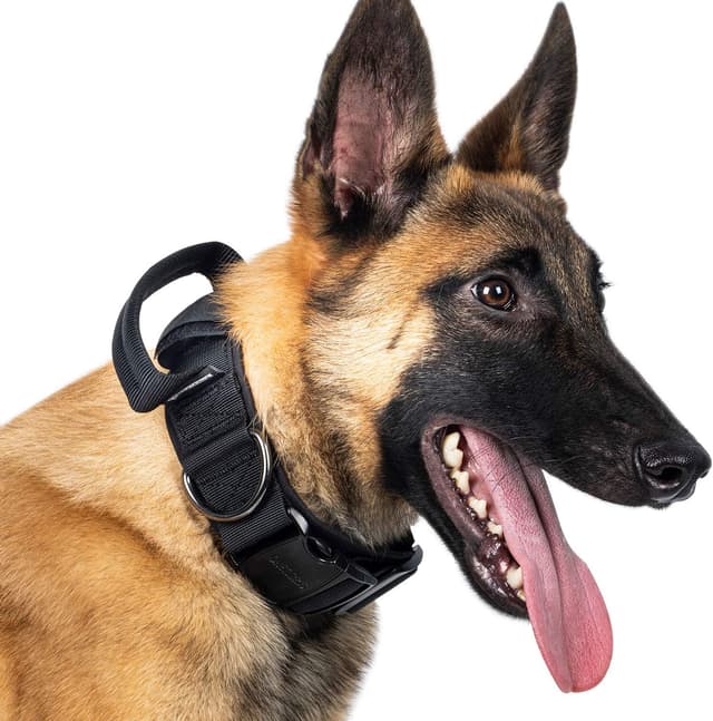 Detalle de OneTigris Tactical Dog Collar with Handle (Large, Black) – adjustable nylon military-style collar for training