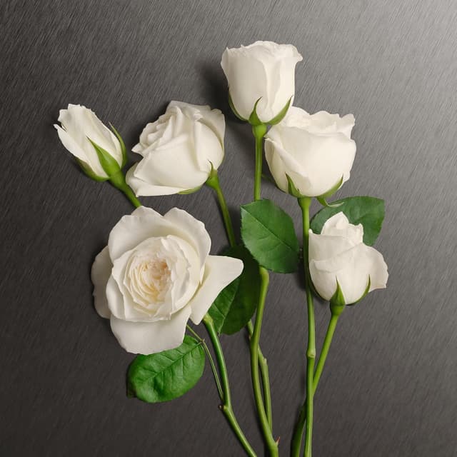 Thumbnail 6 de Calvin Klein Eternity For Women 50 ml