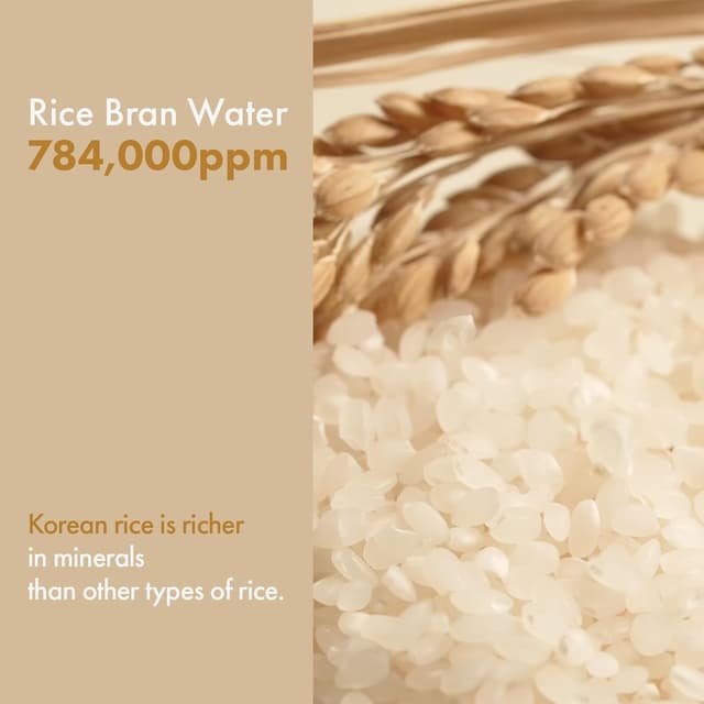 Detalle de TOSOWOONG Tonico lattiginoso illuminante al riso con niacinamide, ceramidi e pantenolo (250 ml)