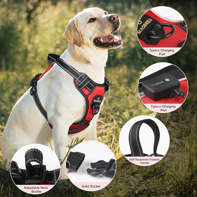 Detalle 1 de MASBRILL Light Up Dog Harness