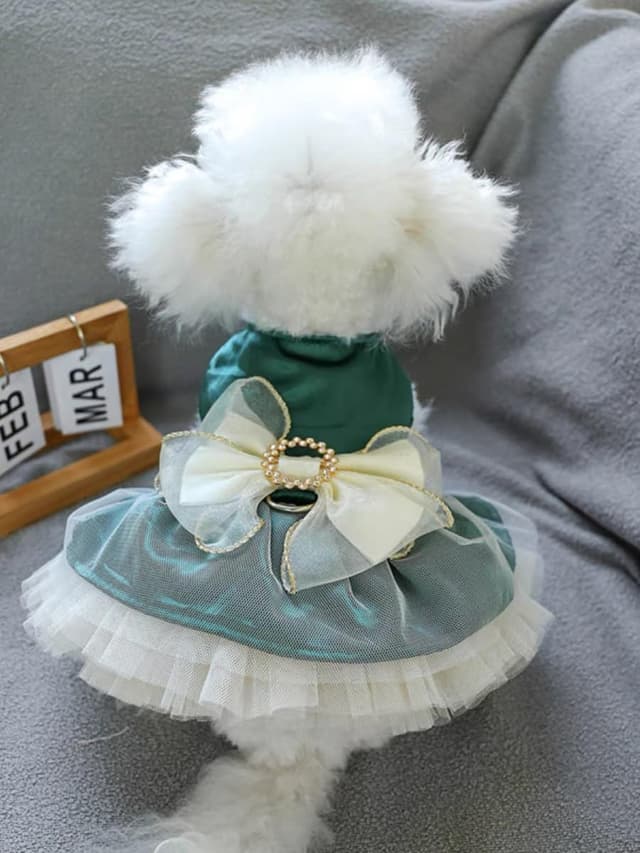 Detalle 2 de BT Bear Small Dog Dress (Green, M) – Puppy Skirt with Retro Bow & Lace Princess Tutu