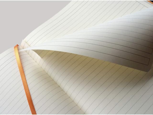 Detalle 2 de Rhodia Rhodiarama Notizbuch 117714C in DIN A4+ (tangerine) mit weichem Deckel, 80 Blatt