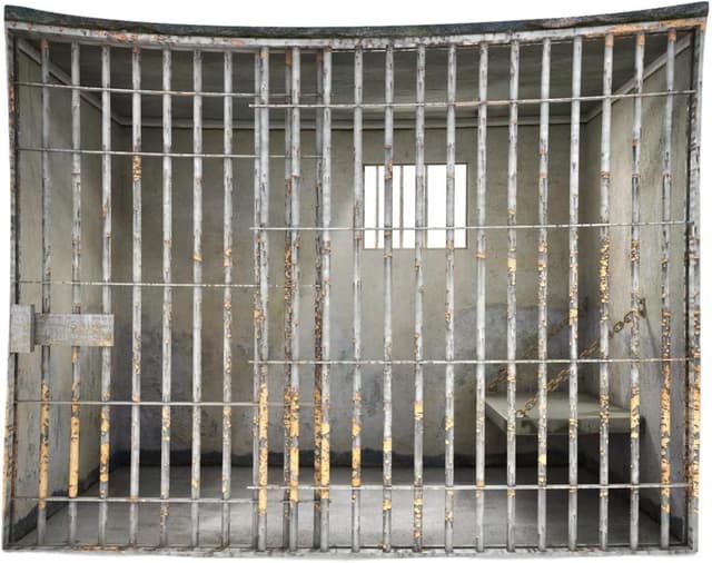 Detalle de BELECO 1.5 x 1m Fabric Prison Bars Backdrop (Jail/Mugshot crime theme photo background)