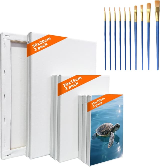 Detalle de Starward 9 Leinwände zum Bemalen (30x20, 20x15, 15x10 cm) mit 10 Pinseln – Set für Acryl & mehr