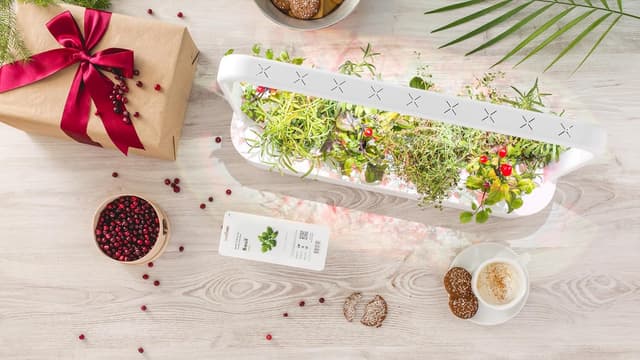 Detalle de Click & Grow Smart Garden – potager d’intérieur connecté avec 9 capsules prêtes à pousser, éclairage et arrosage automatiques (blanc)