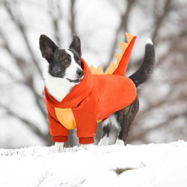 Thumbnail 6 de LeLePet dinosaur dog costume hoodie XS