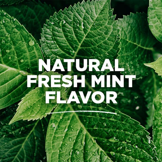 Detalle de Tom's of Maine Whole Care Natural Fluoride Mouthwash (Fresh Mint) – 16 oz Bottles, Pack of 3