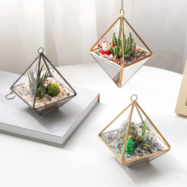 Thumbnail 6 de T4U Decorative Stones 450g gravel for succulents 🪨