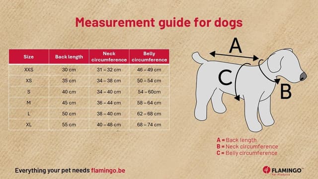 Thumbnail 1 de Flamingo Bonnie Hundemantel 35 cm