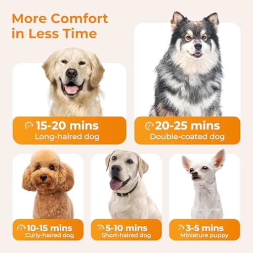 Thumbnail 5 de Pecute Pulseur pour chien Caniche sèche‑cheveux 4 buses