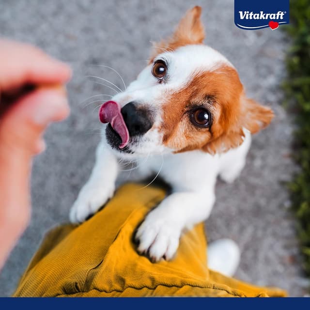 Detalle 2 de Vitakraft Pure Chicken Filets Hundeleckerli aus Hühnerbrust, ohne Zucker (10x 80 g)