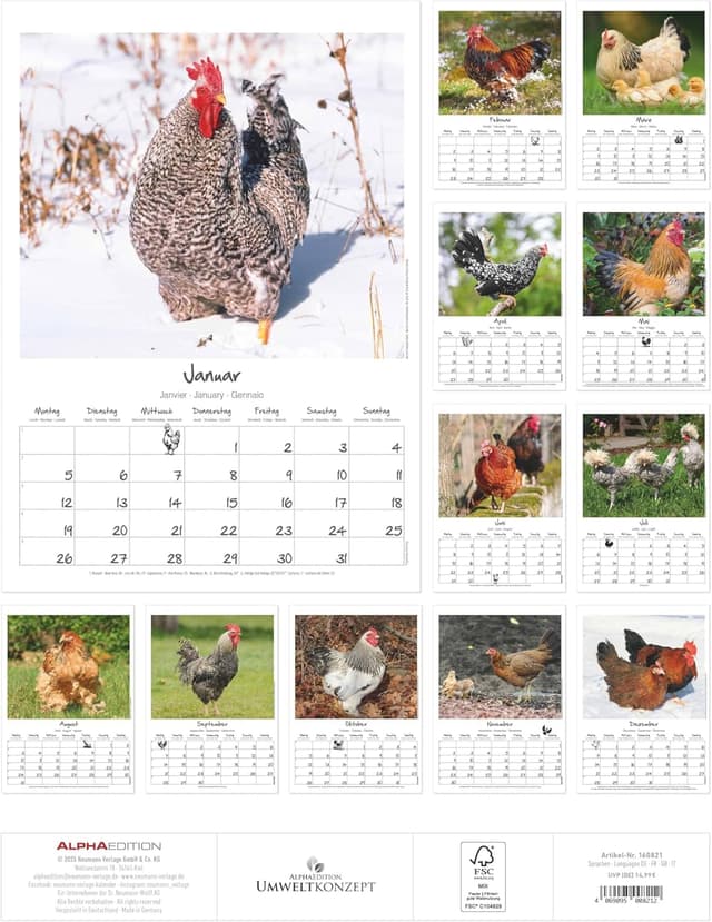 Thumbnail 1 de Alpha Edition Hühner 2026 Wandkalender A3