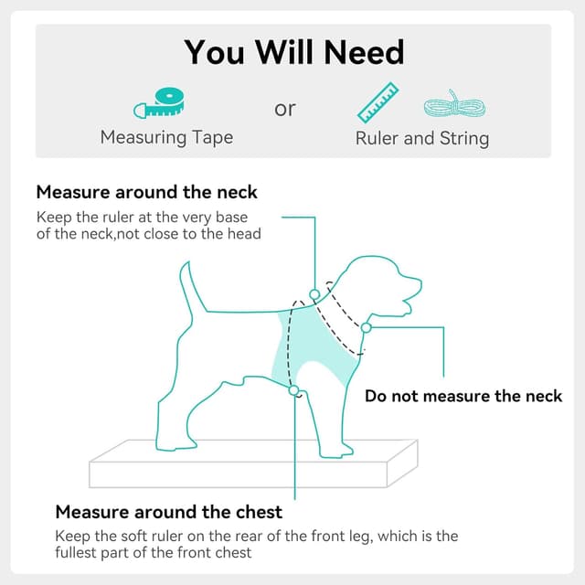 Thumbnail 6 de Joytale reflektierendes, weich gepolstertes Hundegeschirr mit Air-Mesh (XXS, Türkis)