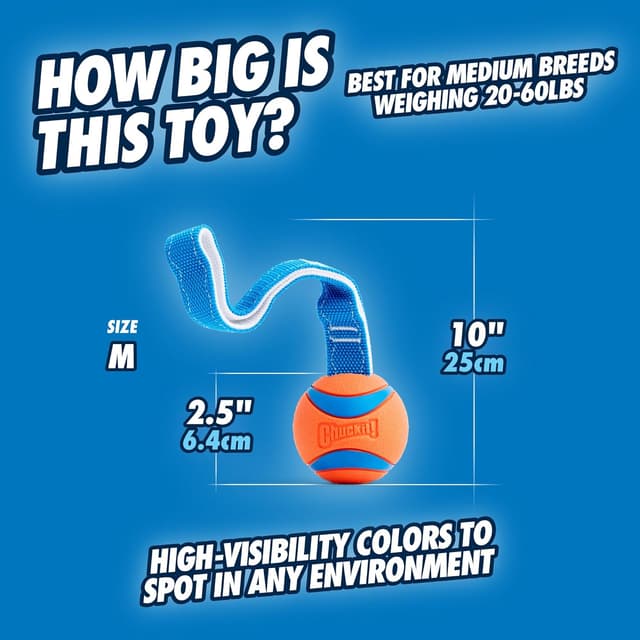 Thumbnail 3 de Chuckit Ultra Tug 6 cm Jouet chien