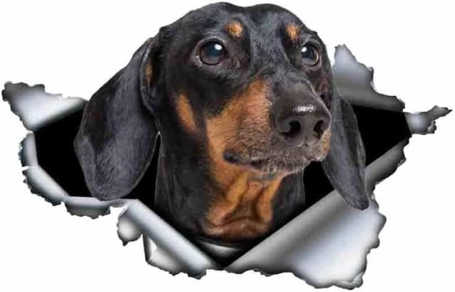 Imagen de Dackel Reflektierend Aufkleber 18 cm en OfertitasTOP