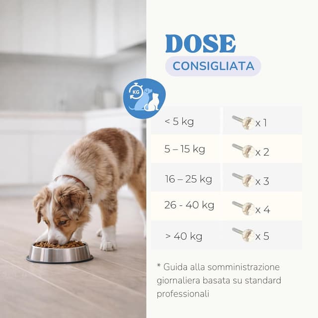 Detalle 2 de Lamina Care Probiotici per cani con 1 miliardo UFC: supporto digestivo per gas e infiammazione