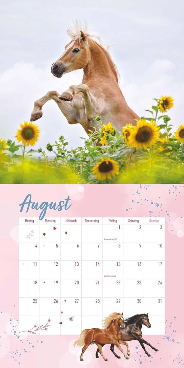 Detalle de Alpha Edition Pferdefreunde Kalender 2026 (Broschürenkalender, 30×30 cm) mit Stundenplänen, Ferientabelle & Extra-Spiel
