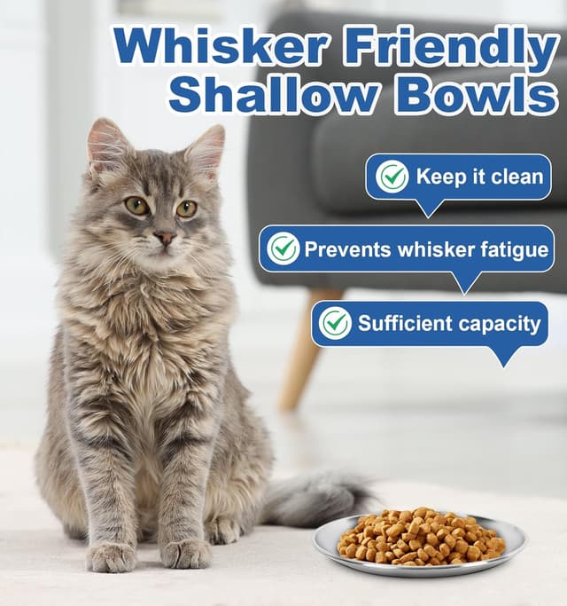 Thumbnail 4 de Supet Cat Food Bowls 2-Pack Whisker Friendly