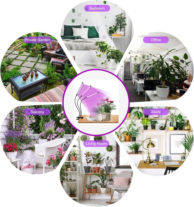 Thumbnail 6 de Railee Pflanzenlampe LED Vollspektrum 3 Köpfe