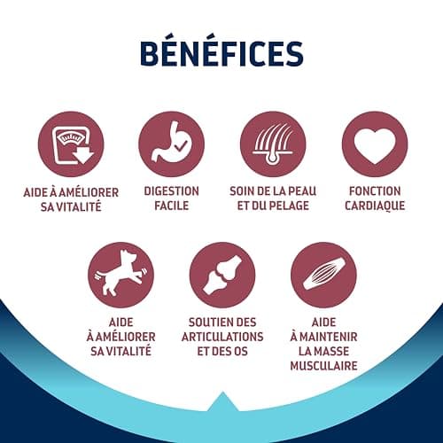 Thumbnail 5 de Advance Mini Senior Pollo 3 kg