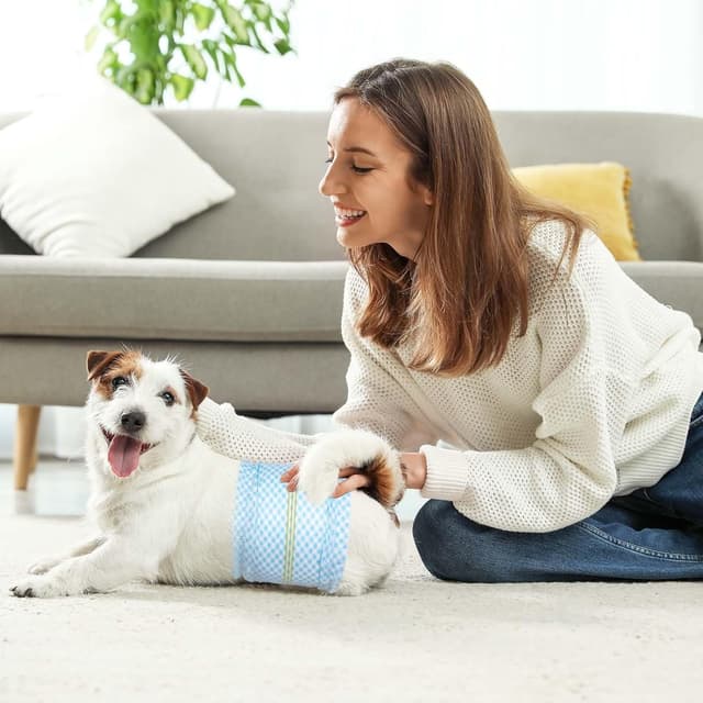 Thumbnail 6 de Couches jetables chien mâle L, 40 unités