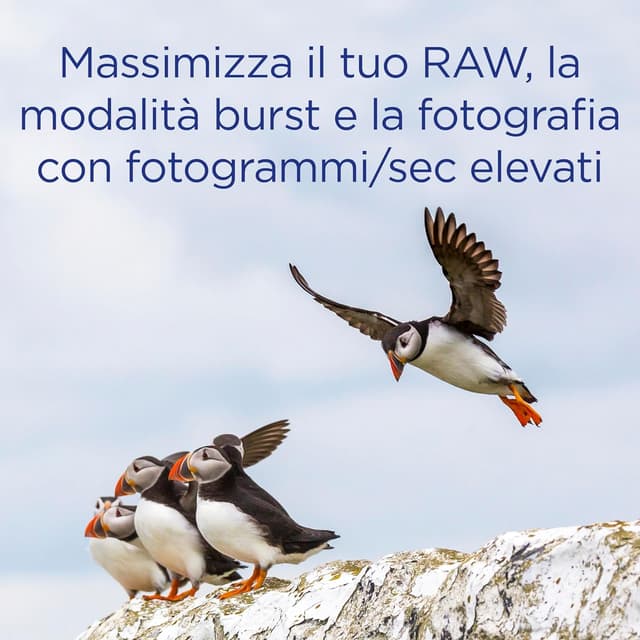 Detalle 2 de Integral CFast 2.0 256 GB 550 MB/s