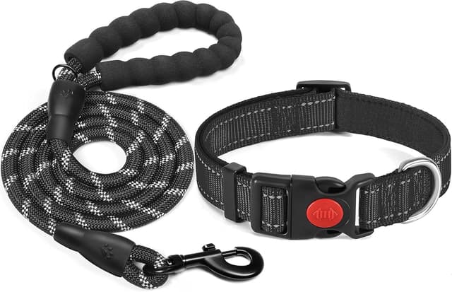 Detalle de haapaw Collier réfléchissant rembourré en néoprène