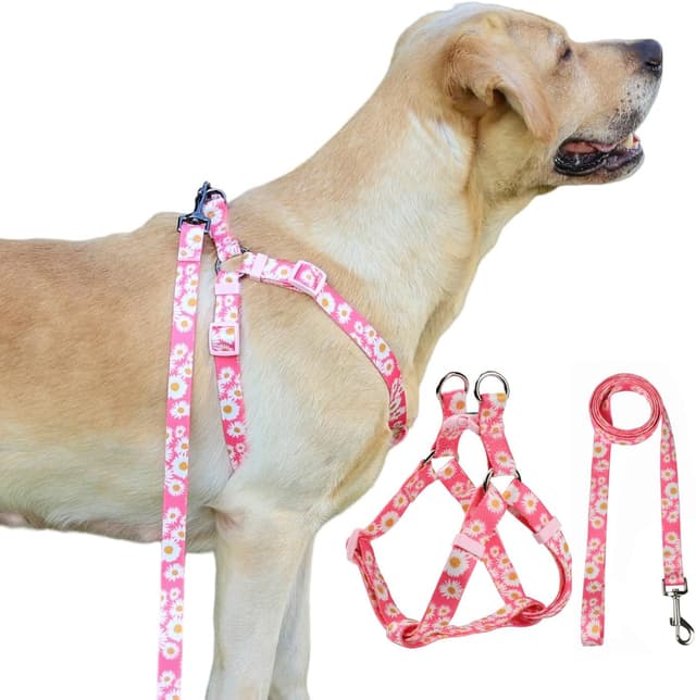 Detalle 2 de Olahibi Harness and Leash Set (Floral Pattern) with 150CM Matching Leash – Medium Pink Daisy