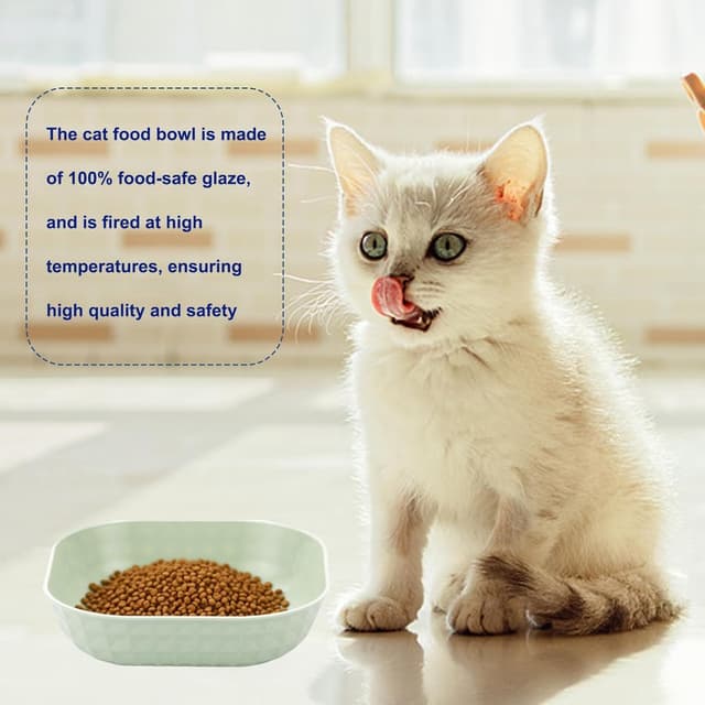 Thumbnail 6 de 10er Set flache Katzennäpfe aus PP