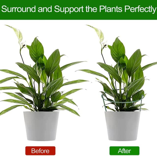 Detalle de VLYHGO 6PCS Half-Round Plant Supports (44x20cm) for Tomatoes, Roses & Flowers