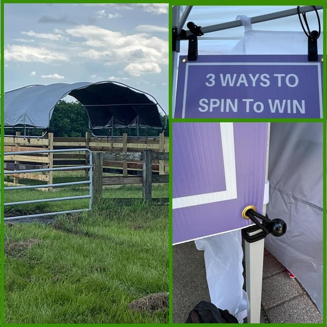 Detalle de YELIER bungee cord set 50 piece